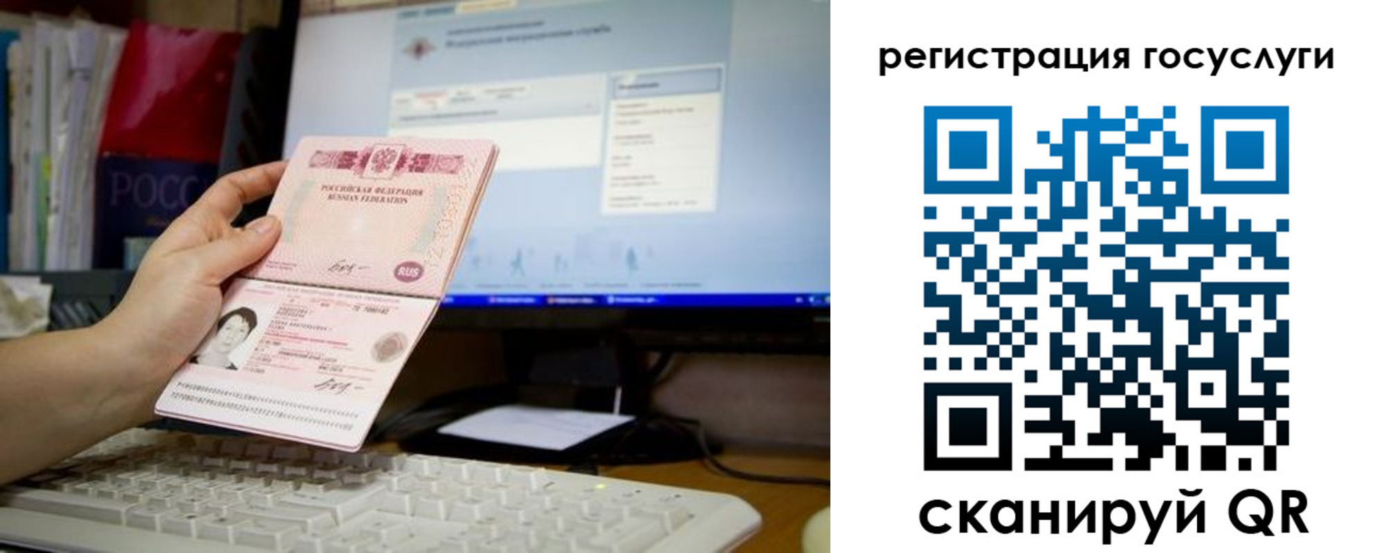 прописка поиск в Александрове