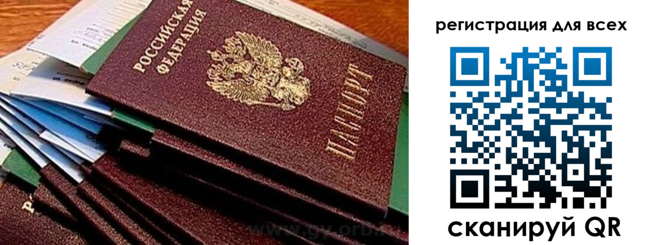 временная регистрация надежно в Александрове